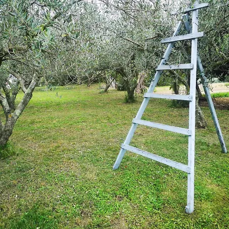 Zimerman Apartmán Portorož