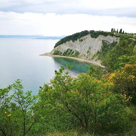 Zimerman * Portorož